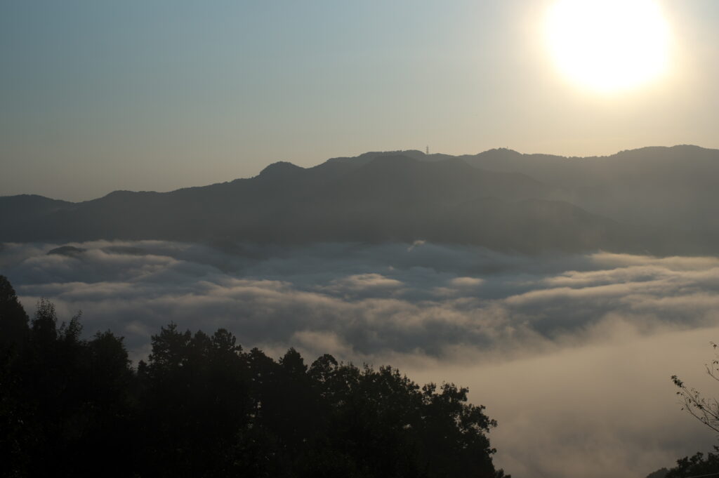 20241013_12_宝登山_雲海