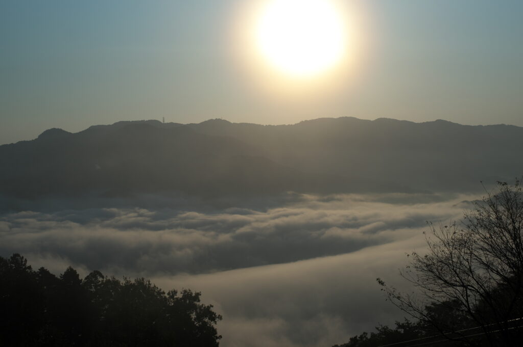 20241013_13_宝登山_雲海