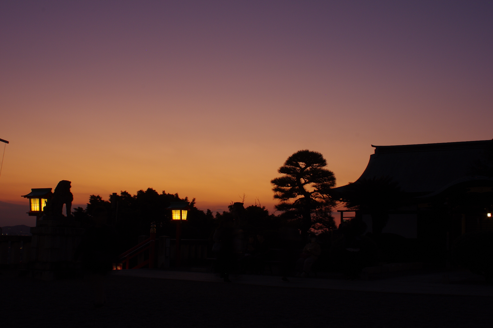 20241104_2_足利灯り物語_足利織姫神社