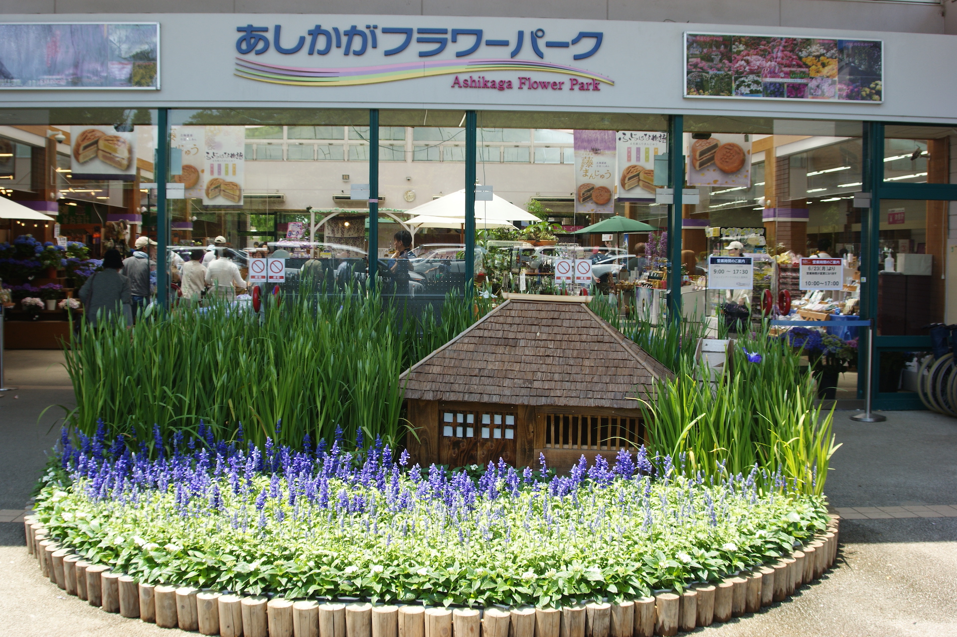 20250607_04_あしかがフラワーパーク