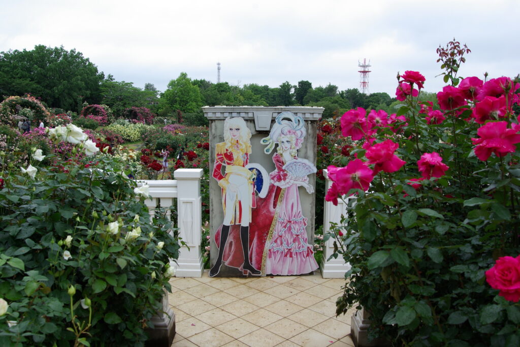 20250525_02_京成バラ園_春薔薇
