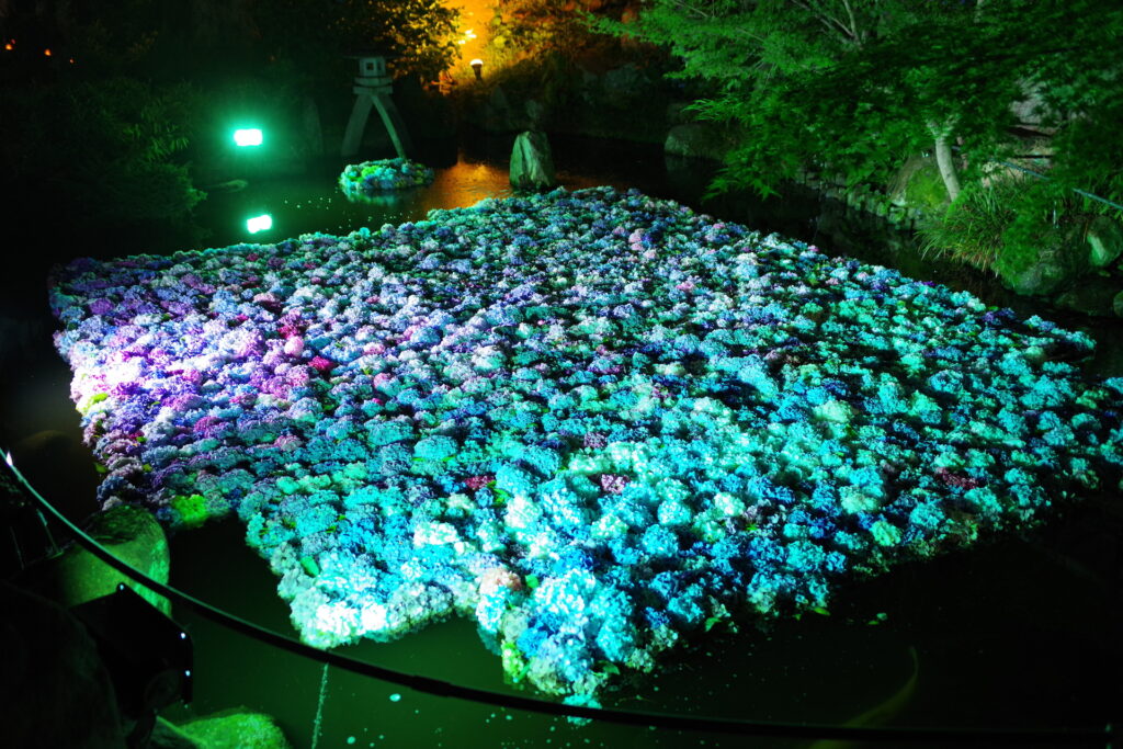 20250628_02_雨引山楽法寺_水中華
