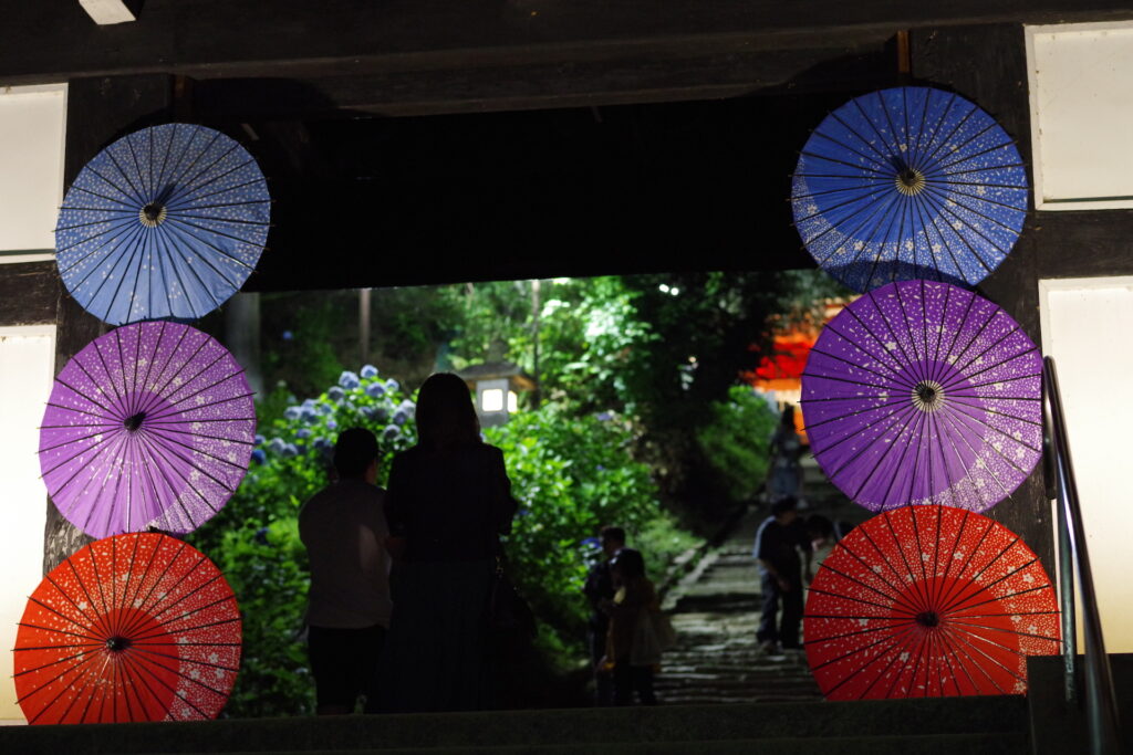 20250628_05_雨引山楽法寺_薬医門